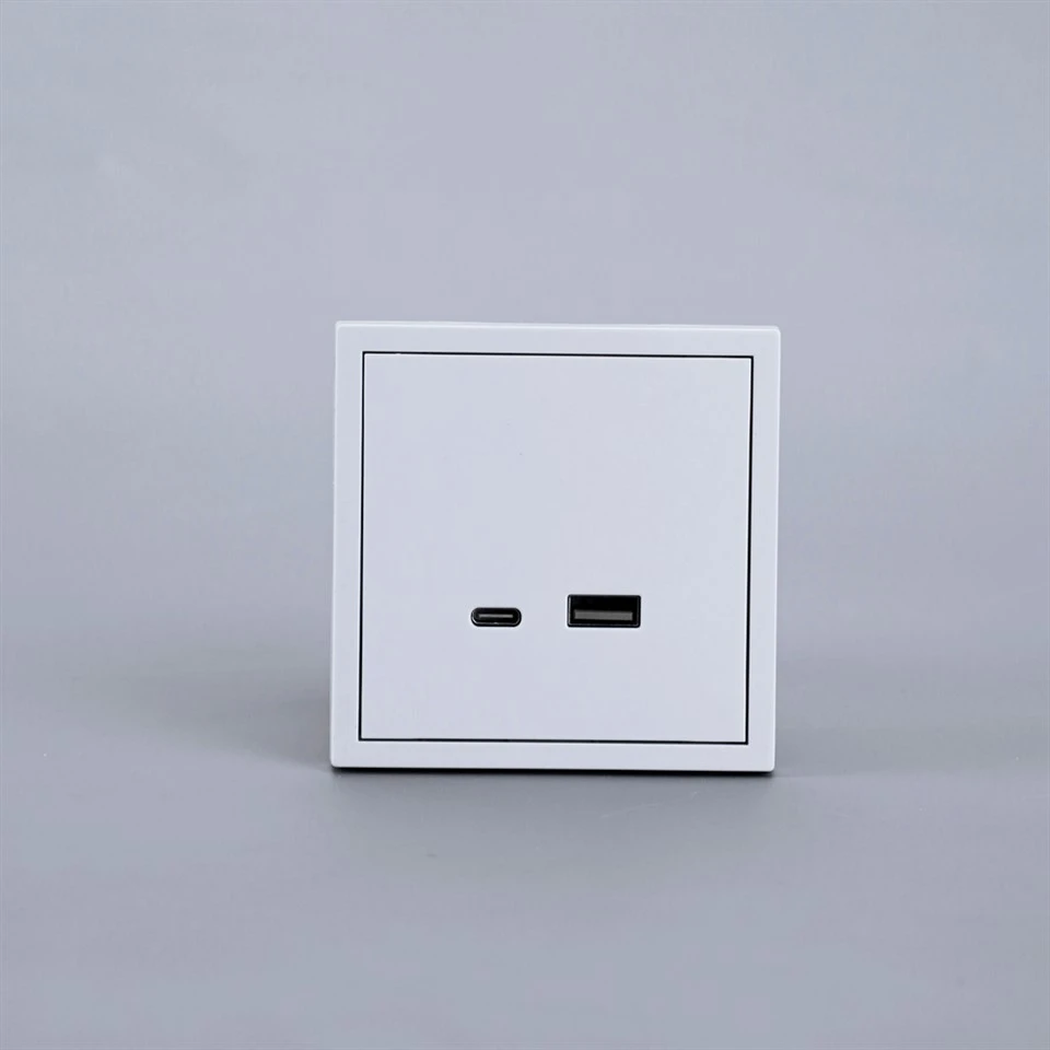 8611 USB A And Type C Sockets