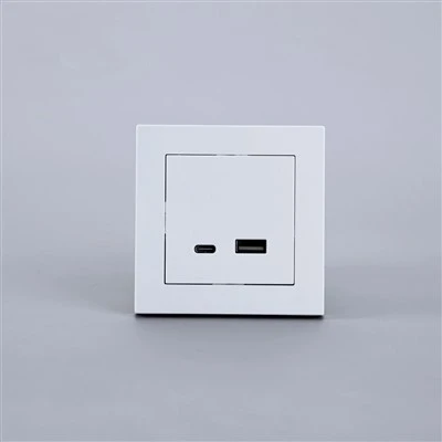 8609 USB A- ja C-tüüpi pesad